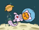 Gatito astronauta