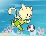 Gato jugando a fútbol