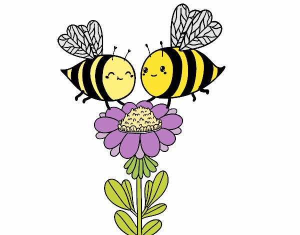 Pareja de abejas