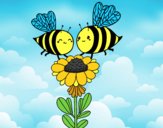 Pareja de abejas