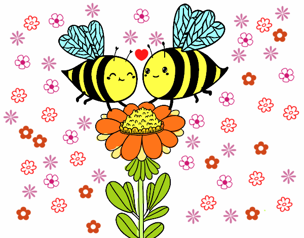 Pareja de abejas