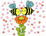 Pareja de abejas