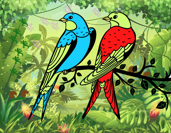 Pareja de pájaros