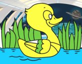 Patito de río