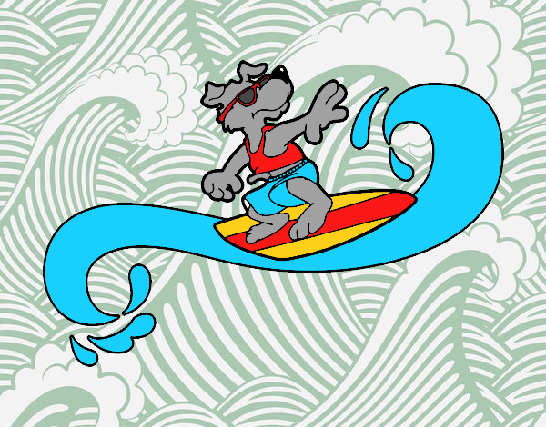 Dog surfer