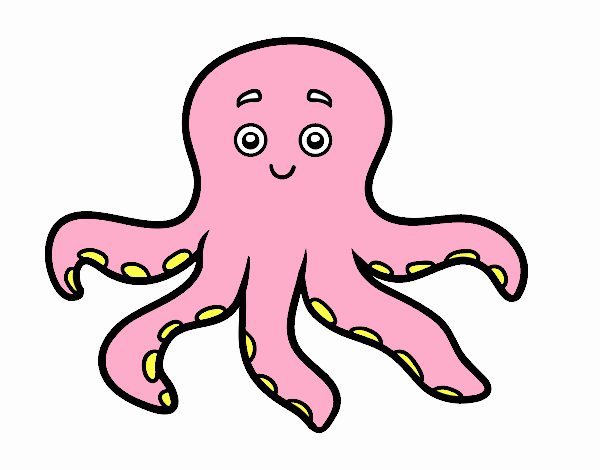 pulpo