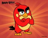 Red de Angry Birds