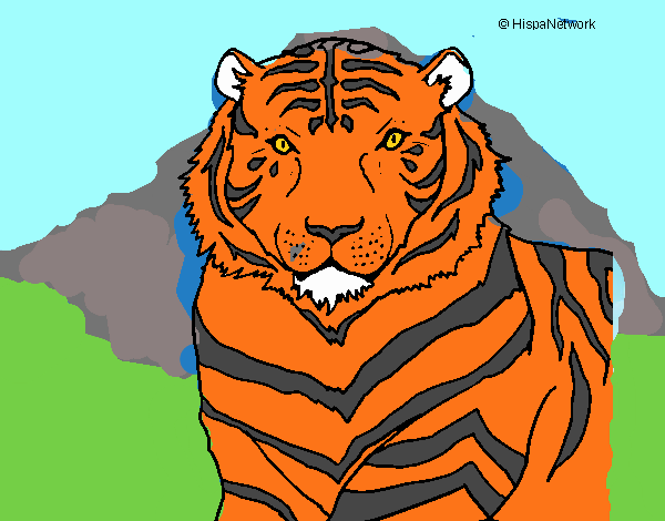 Tigre 3