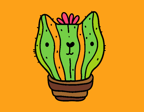 Cactus gato