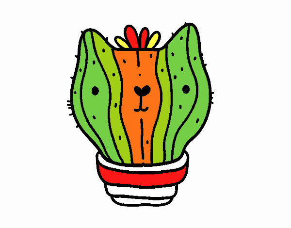 Cactus gato