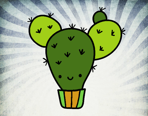 Cactus nopal