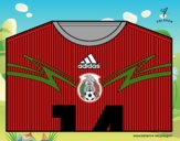 Camiseta del mundial de fútbol 2014 de México