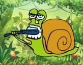 Caracol limpio