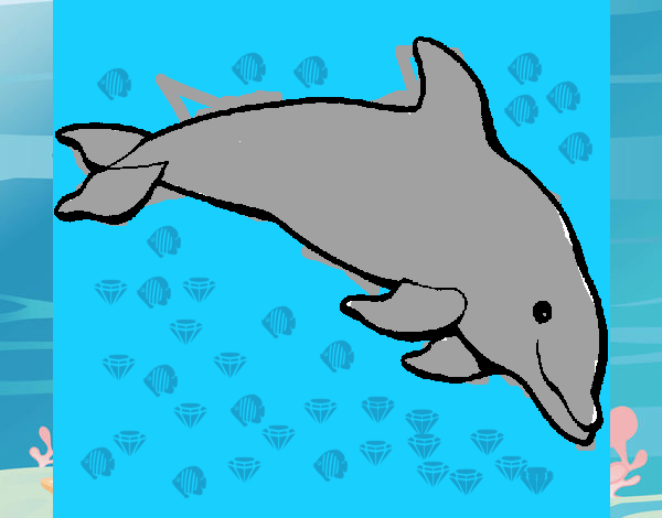 Delfín contento