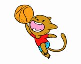 Gato jugando a baloncesto