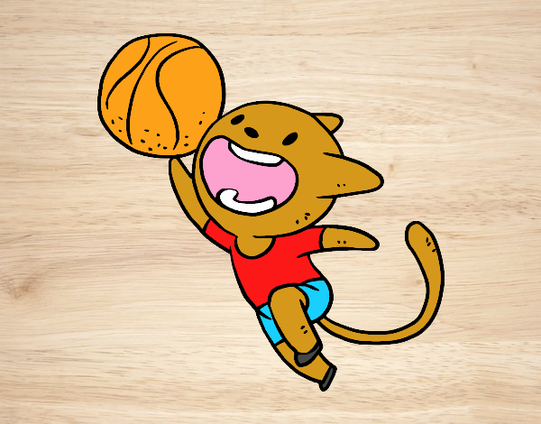 Gato jugando a baloncesto