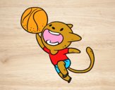 Gato jugando a baloncesto