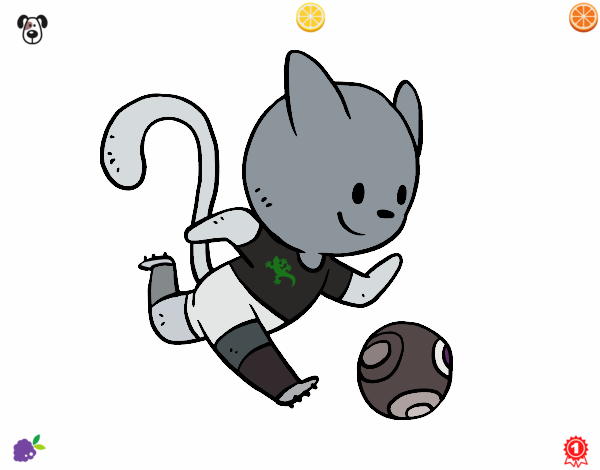 Gato jugando a fútbol