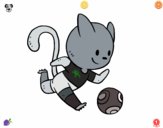 Gato jugando a fútbol