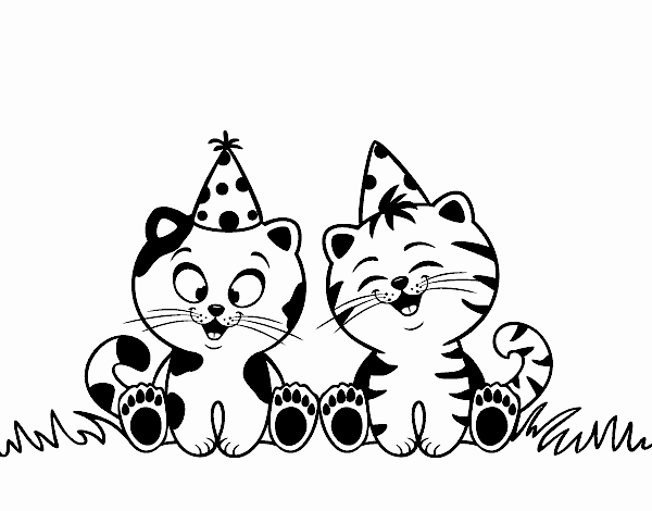 Gatos de cumpleaños