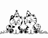 Gatos de cumpleaños