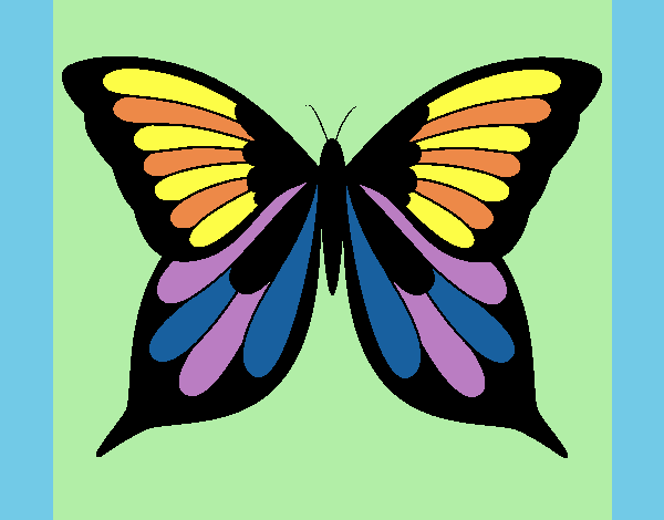 MARIPOSI