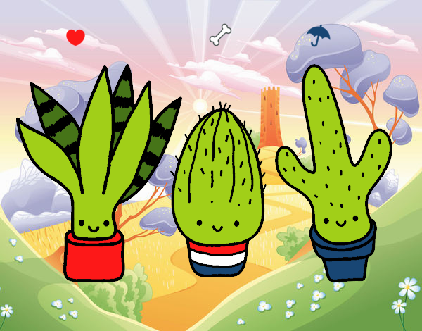 cactus paraguayos