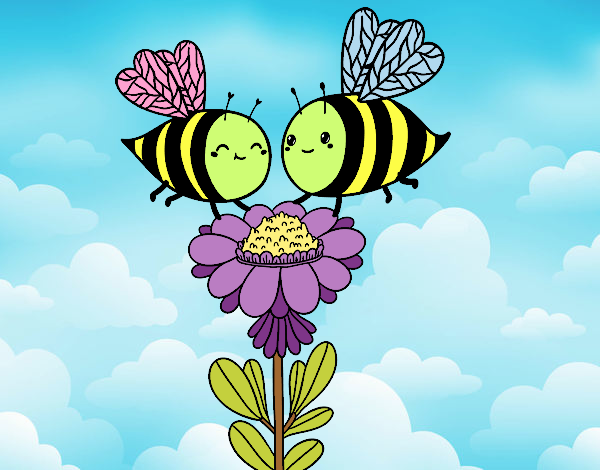 Pareja de abejas