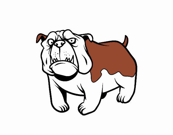 Perro bulldog inglés