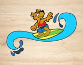 Perro surfeando