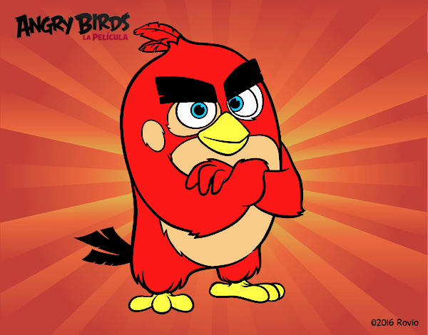 Red de Angry Birds