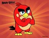 Red de Angry Birds