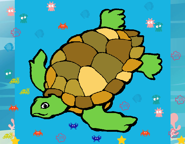 Tortuga