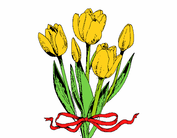 tulipanes en lazo