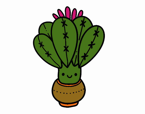 Un cactus con flor