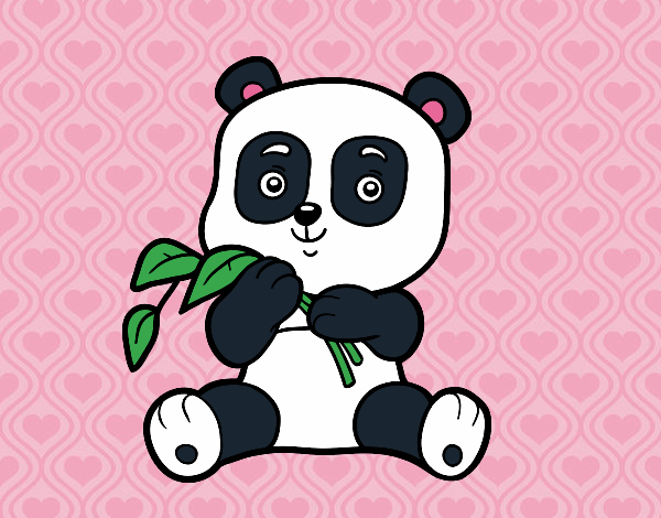 Un oso panda