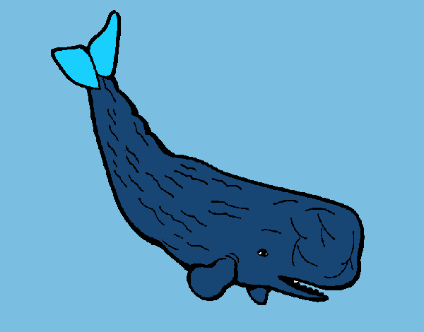 Ballena grande