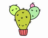 Cactus nopal