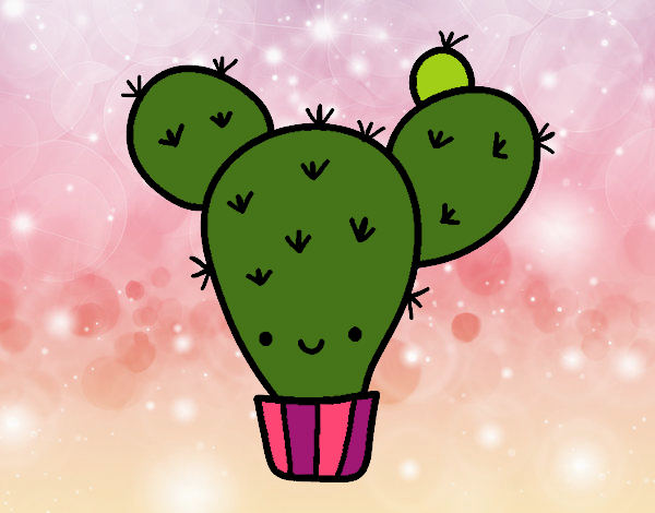 Cactus nopal