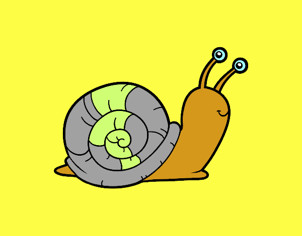 El caracol