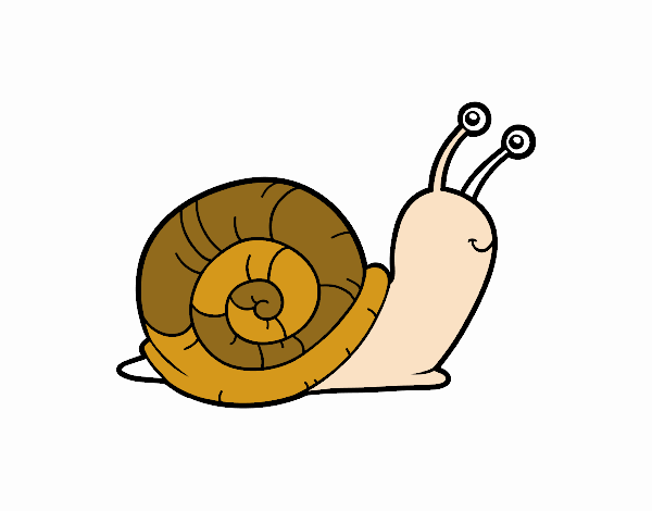 El caracol