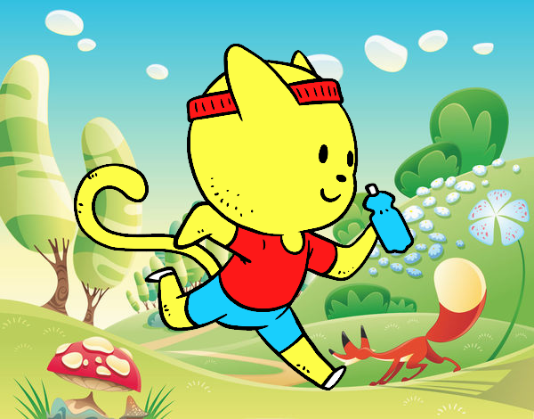 Gato runner