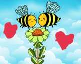 Pareja de abejas