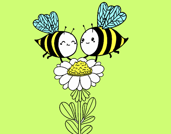 Pareja de abejas