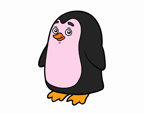 pingu