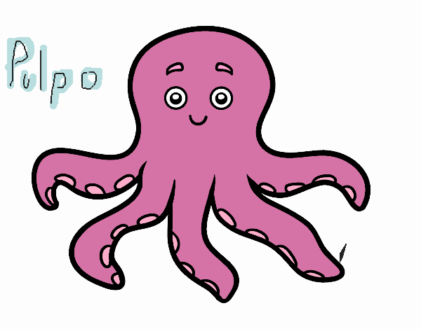 Pulpo infantil