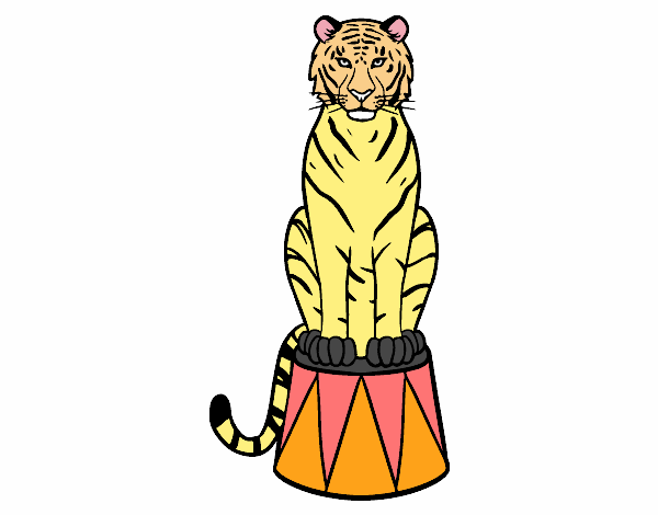 Tigre de circo