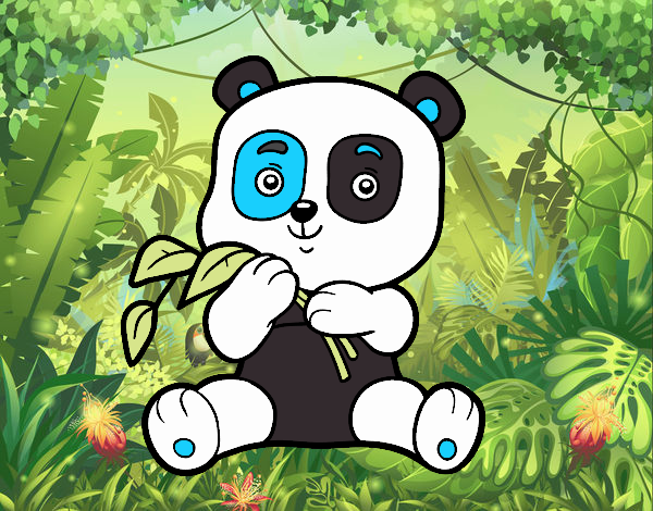 panda