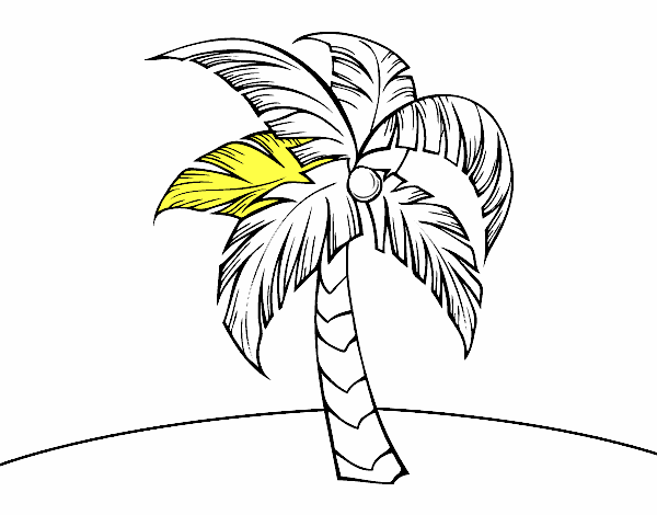 Una palmera