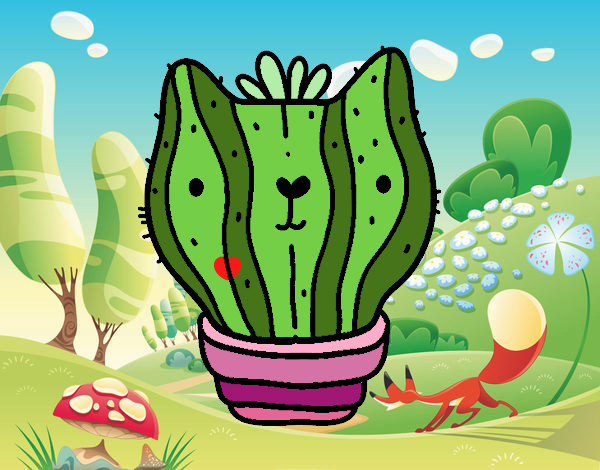 Cactus gato